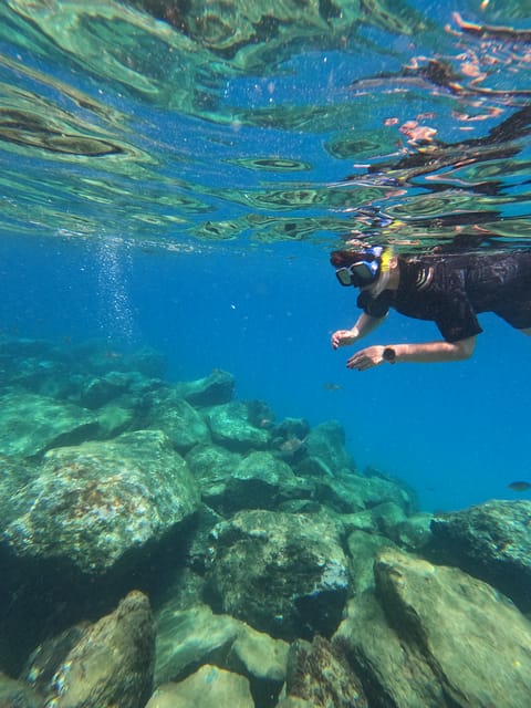 Snorkeling Boat Trip in Marine Turtles Natural Habitat - The 2.5-Hour Flow: From Harbour to Prime Snorkeling Water