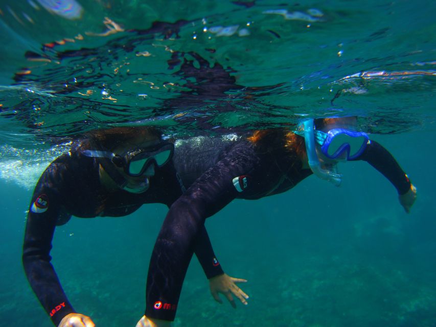 Snorkeling in a Volcanic Bay - Key highlights for snorkeling Los Abrigos