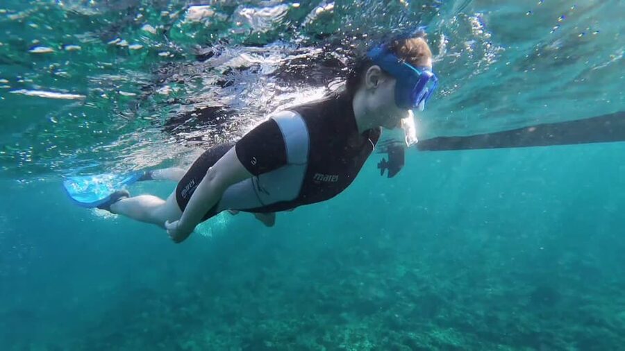Snorkeling in a Volcanic Bay - Volcanic rock formations: the “where” behind the wildlife