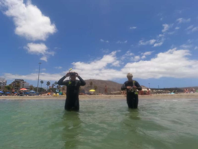 Snorkeling in tenerife south: Discover the underwater world - What you’ll love (and what to watch for)