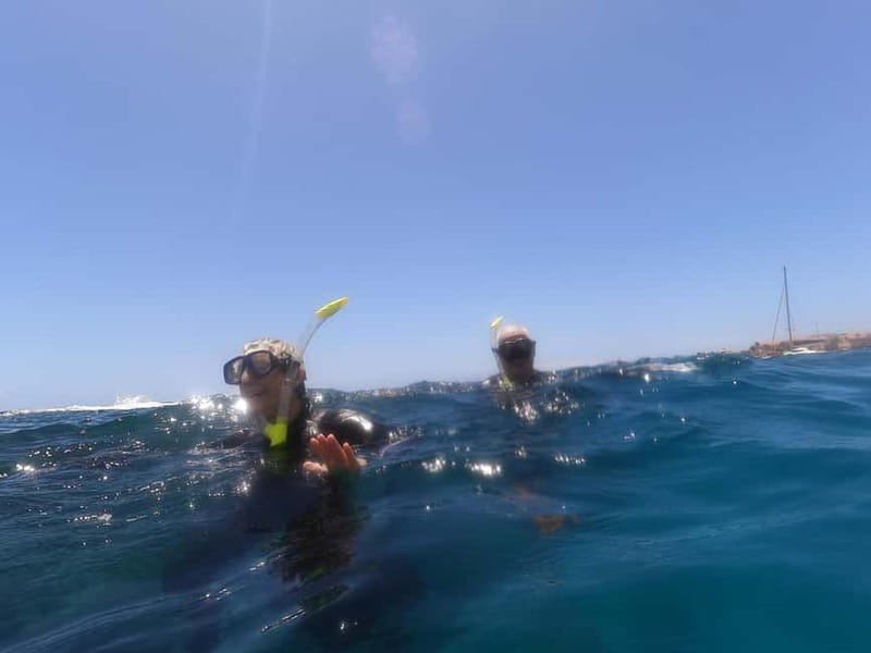 Snorkeling in tenerife south: Discover the underwater world - Key points at a glance