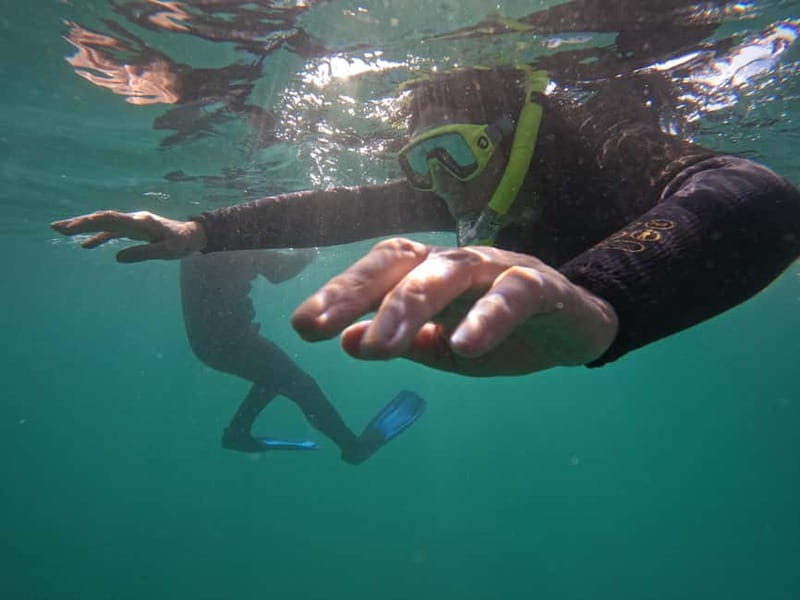 Snorkeling in tenerife south: Discover the underwater world - Getting started at Hotel GF Isabel, from check-in to the water