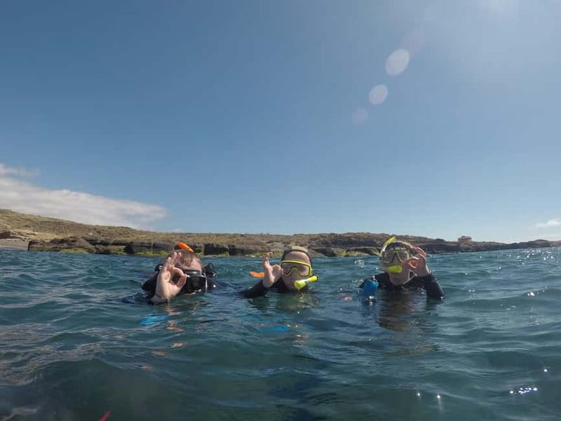 Snorkeling in tenerife south: Discover the underwater world - Gear included: what you are given and why it matters
