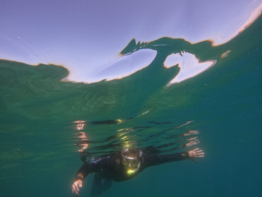Snorkeling in tenerife south: Discover the underwater world - The guide team’s role: staying with you, explaining what matters