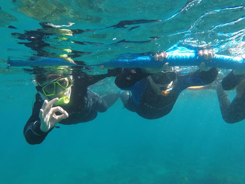 Snorkeling in tenerife south: Discover the underwater world - Families and first-timers: who this tour suits best