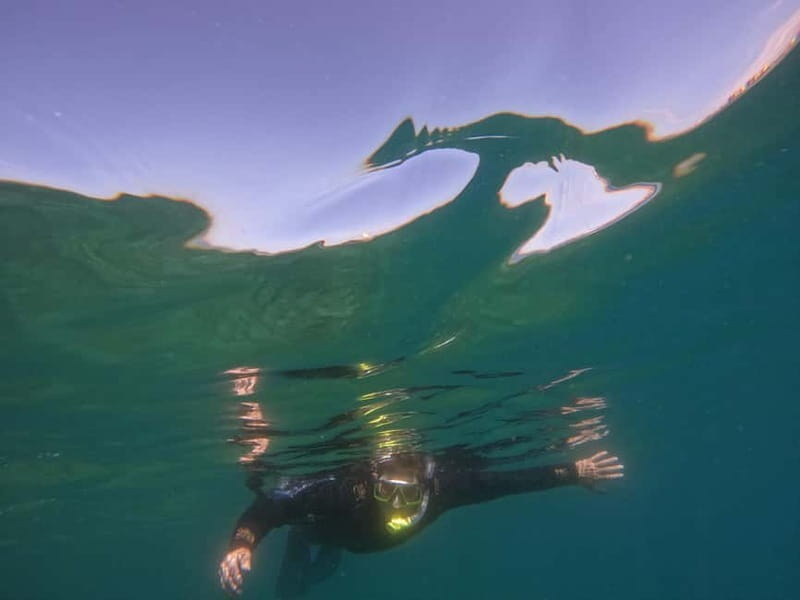 Snorkeling in tenerife south: Discover the underwater world - Timing and duration: how to plan your half-day around it