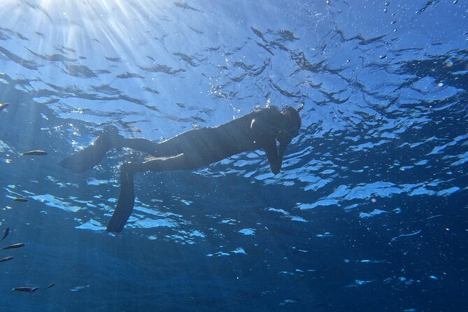 Snorkeling with a Professional Instructor in Tenerife - Los Cristianos Is the Smart Starting Point for Snorkeling