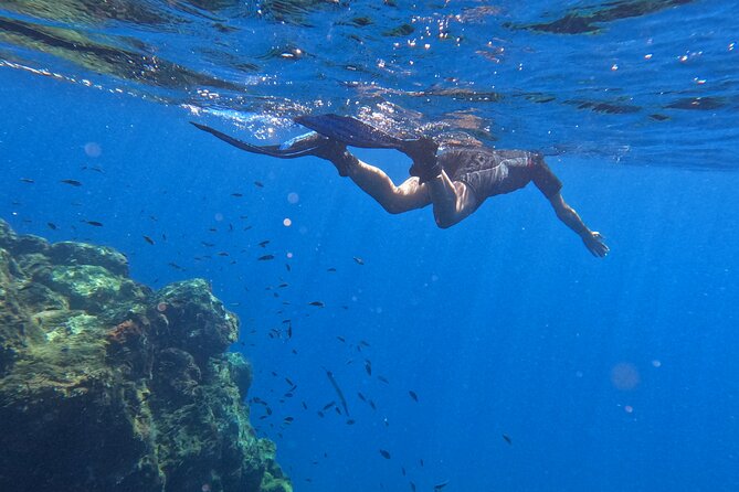 Snorkeling with a Professional Instructor in Tenerife - Debrief, Cool Drink, and Closing the Loop