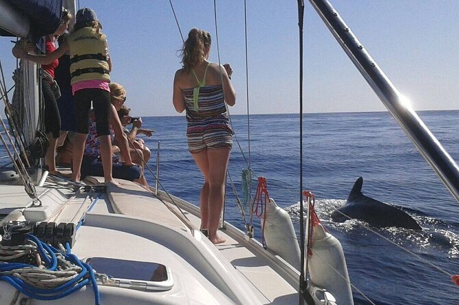 South Coast Tenerife Cruise - Stop to swim and snorkel near Puertito Armeñime