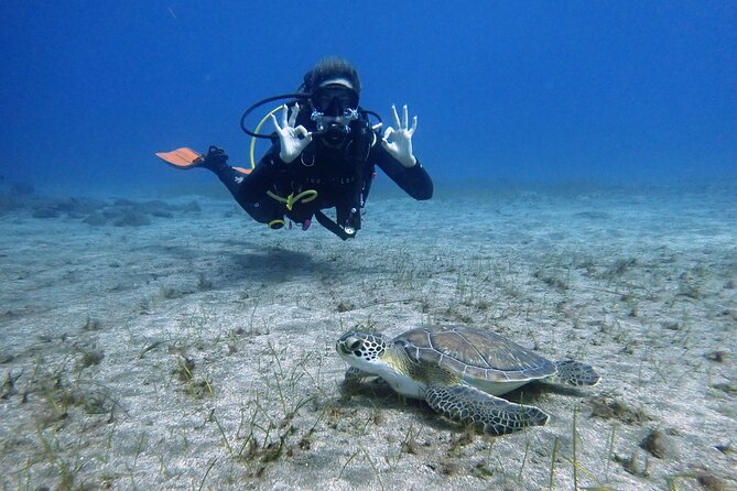 South of Tenerife : DSD Scuba Diving for beginners, Adeje - Key Points You’ll Care About