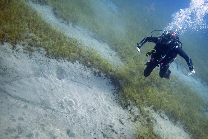 South of Tenerife : DSD Scuba Diving for beginners, Adeje - Where It Starts in Costa Adeje (and How Pickup Works)
