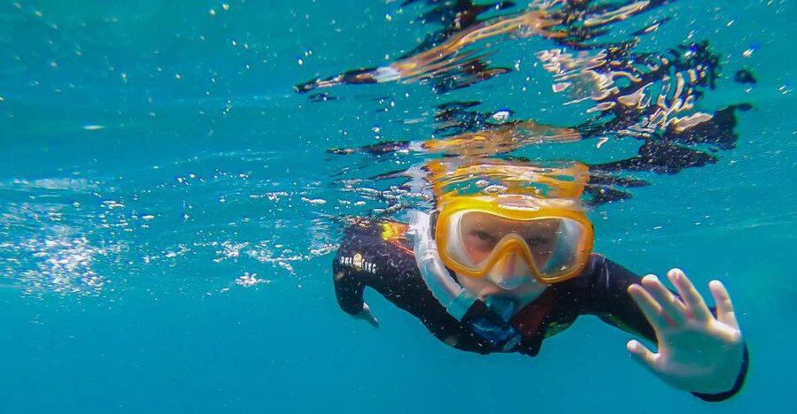 South Tenerife: Guided Snorkeling - What You’ll See in the Water (And Why a Guide Matters)