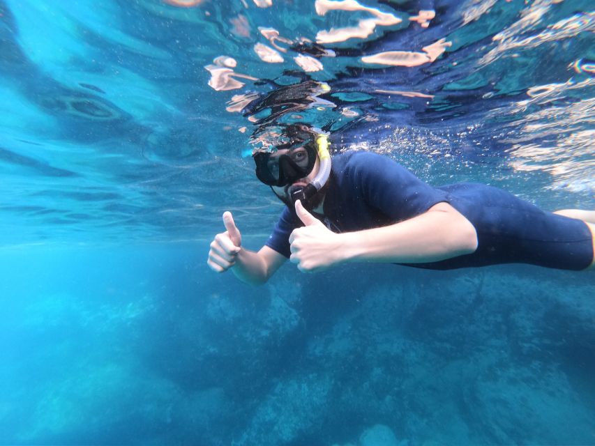 South Tenerife: Guided Snorkeling - Who This Trip Fits Best (And Who Might Want to Rethink It)