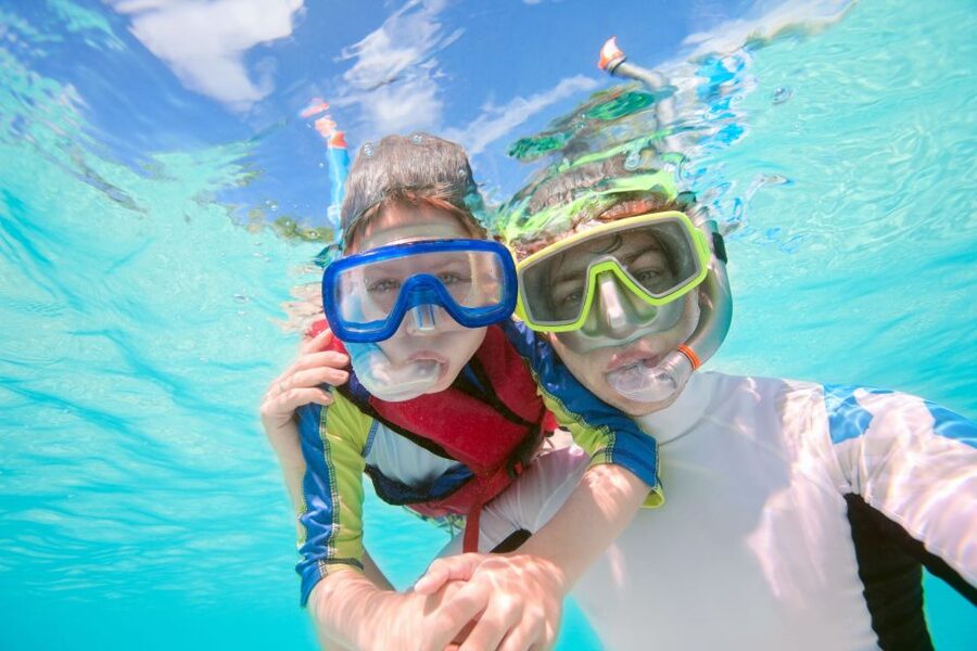 South Tenerife: Guided Snorkeling - Should You Book South Tenerife Guided Snorkeling?