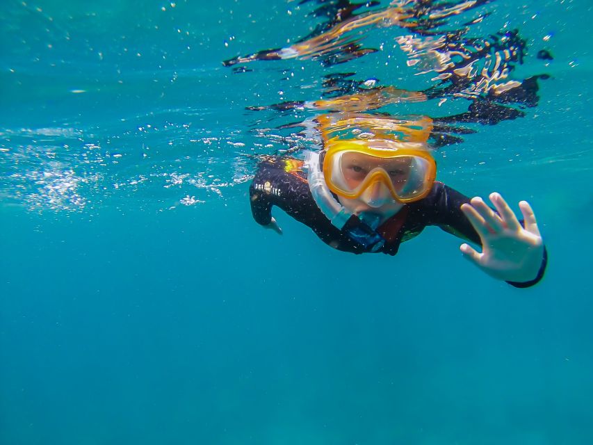South Tenerife: Guided Snorkeling - The Flow of the 2-Hour Experience, From Briefing to Return