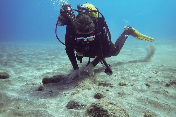 SSI basic diver In Tenerife - 2 Dives - Key highlights to expect