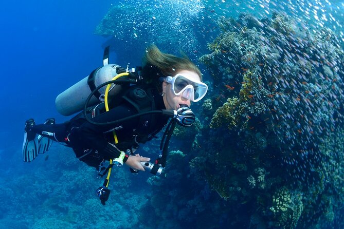 SSI Open Water Diver Course in Tenerife - Why Tenerife’s south coast is a smart place for your Open Water start