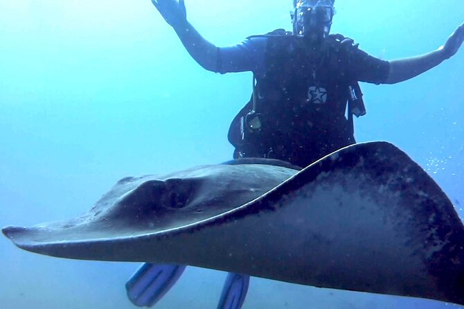 SSI Open Water Diver Course in Tenerife - GooDiving in Golf del Sur: getting in, getting started, staying local