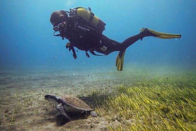 SSI Open Water, South Tenerife - Key Highlights You Can Feel From Day One