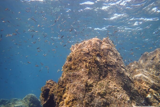 SSI Open Water, South Tenerife - What’s Included in the Price, and Why It Matters