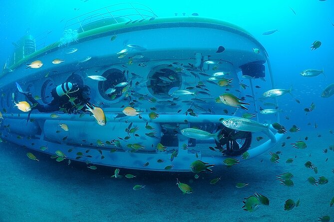 Submarine tour Tenerife: a 1 hour underwater experience - Your Tenerife Submarine Experience in Plain Terms