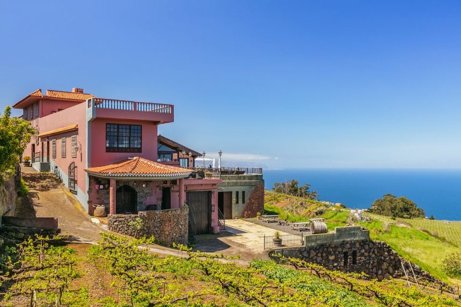 Tacoronte: Guided Winery Tour with Wine and Cheese Tastings - Key things to know before you go