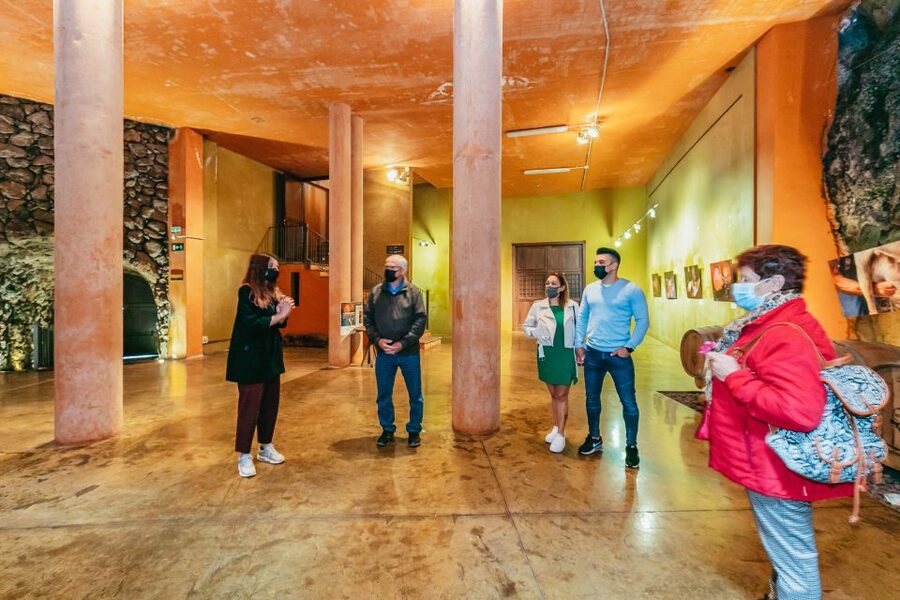 Tacoronte: Guided Winery Tour with Wine and Cheese Tastings - Price and value at about $41 per person