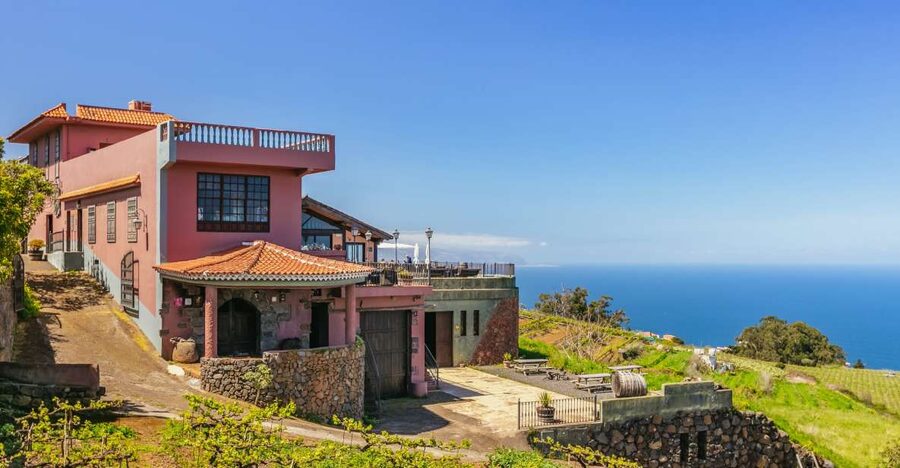 Tacoronte: Guided Winery Tour with Wine and Cheese Tastings - Entering the Familia Monje story and Tenerife’s volcanic wine logic