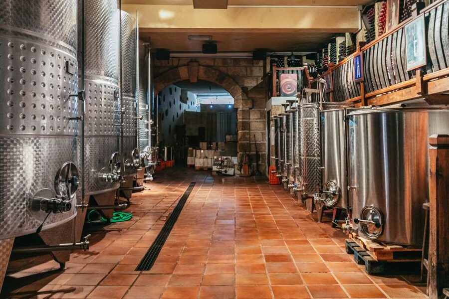 Tacoronte: Guided Winery Tour with Wine and Cheese Tastings - The tasting structure: four wines and four cheese pairings