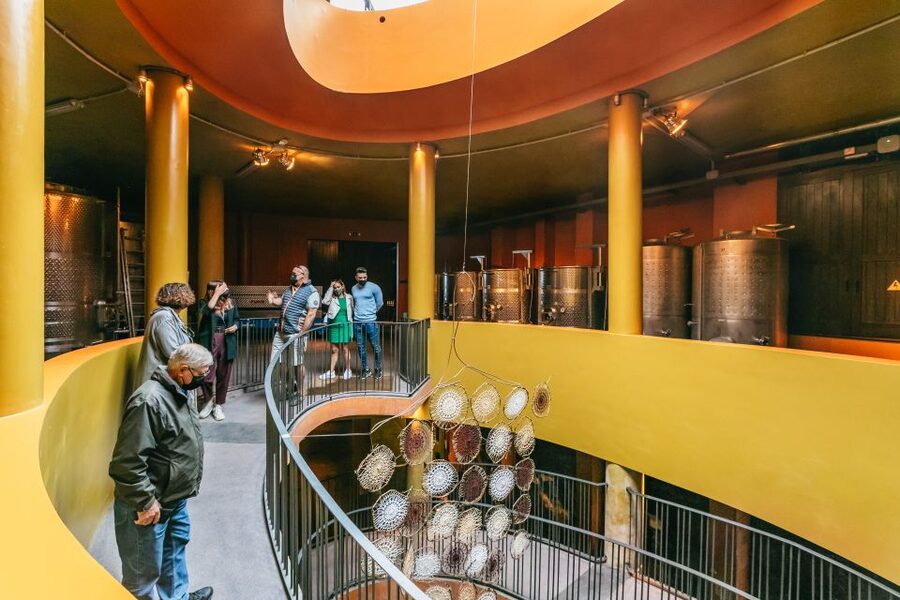 Tacoronte: Guided Winery Tour with Wine and Cheese Tastings - The wines to know: Dragoblanco, Hollera, Monje Tradicional, Listán Negro