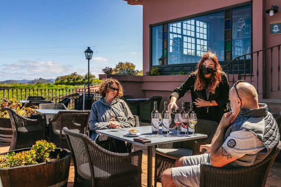 Tacoronte: Guided Winery Tour with Wine and Cheese Tastings - Cheese quality and why goat lovers usually leave happy