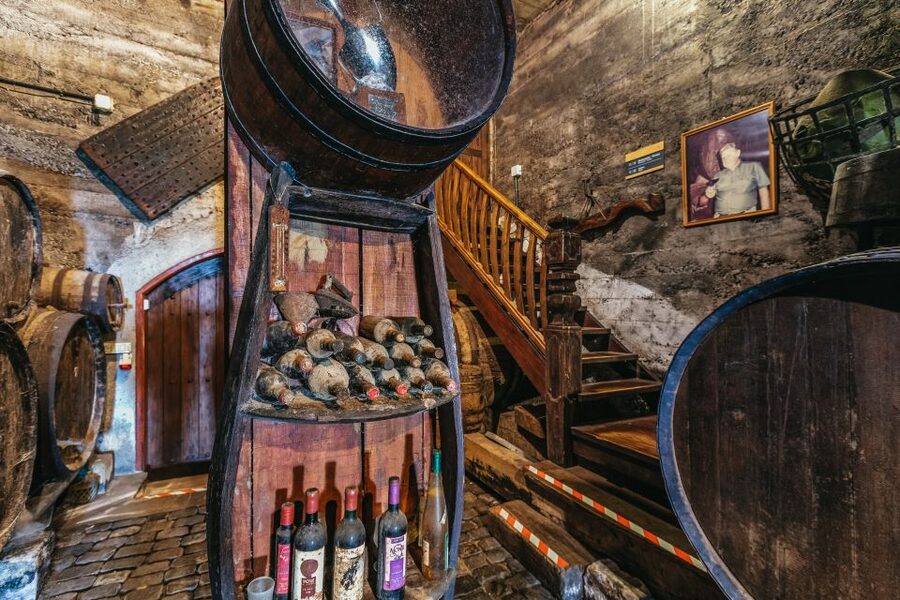 Tacoronte: Guided Winery Tour with Wine and Cheese Tastings - Views, the winery grounds, and the lunch question
