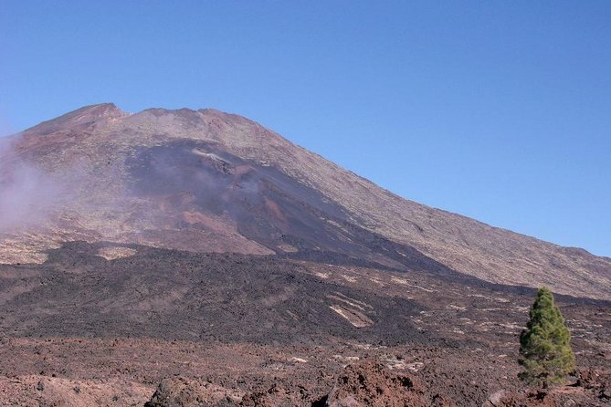 Teide essential Shore Excursion VIP TOUR - Getting there: pickup that saves your cruise clock