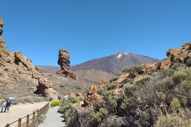 Teide essential Shore Excursion VIP TOUR - Price and what the tour includes for your $86