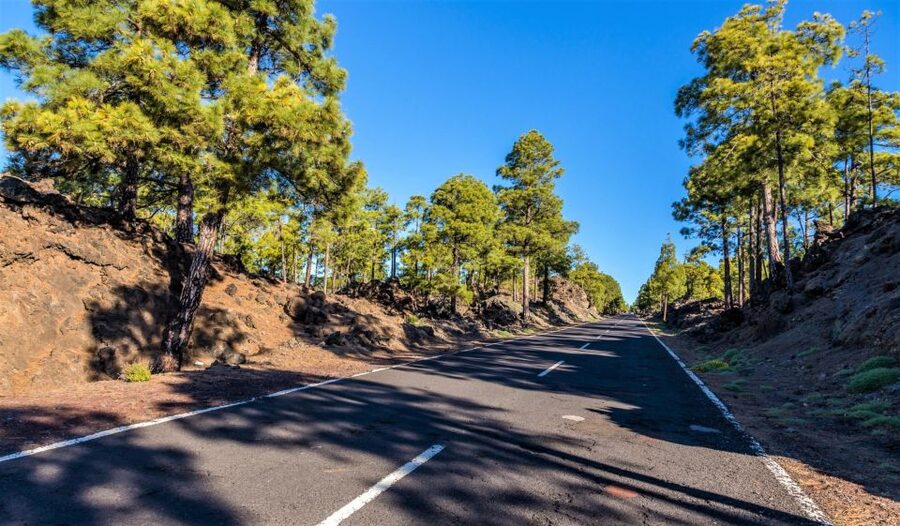 Teide: Guided Sunset & Stargazing Tour by Night with Dinner - Daylight stops and the national park time that sets you up for sunset