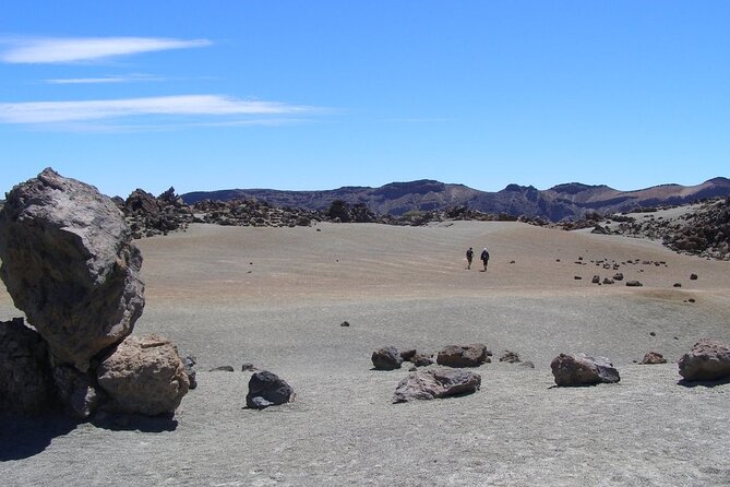 Teide National Park (5-7hours) - Drive through pine forests and volcanic terrain, why the route is part of the show