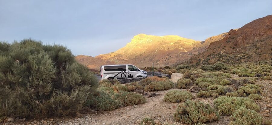 Teide National Park and Vilaflor ; local wine tasting - Should you book this Comfort tours tenerife half-day?