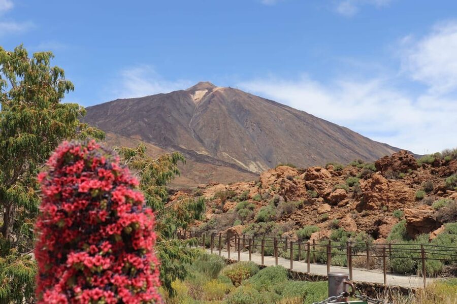 Teide National Park and Vilaflor ; local wine tasting - Sámara volcano crater walk: optional, short, and for the active-but-not-too-active