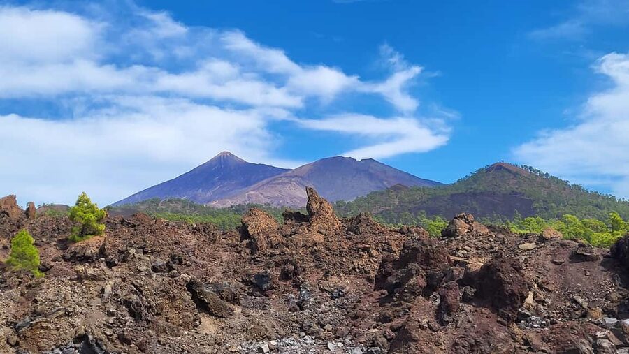 Teide National Park and Vilaflor ; local wine tasting - Vilaflor in about 30 minutes: Santo Hermano Pedro and the wine region vibe