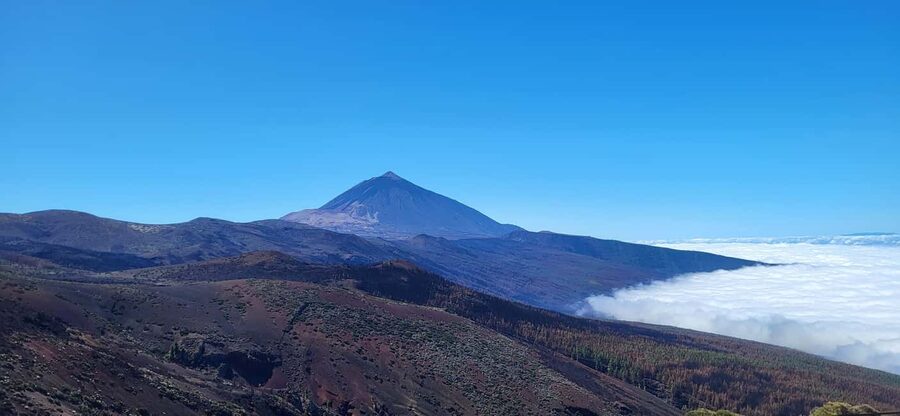 Teide National Park and Vilaflor ; local wine tasting - Who should book this Teide and Vilaflor tour, and who should skip it