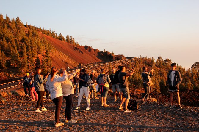 Teide National Park Exclusive and private Tour - The guide makes it land: learning volcano stories as you look