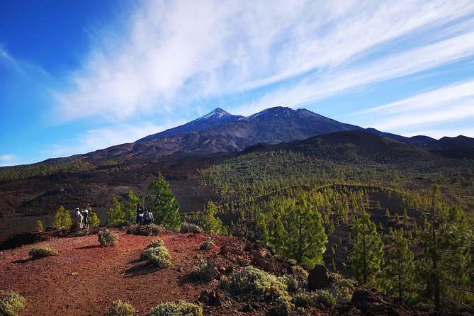 Teide National Park for smaller groups - Vilaflor: where the day starts at altitude, with coffee and breathing room