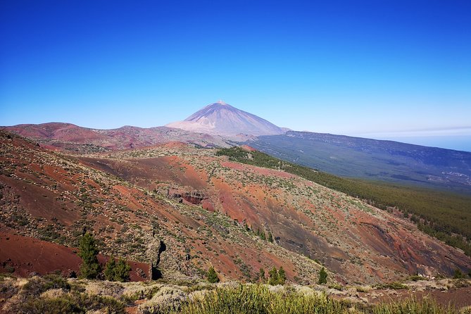 Teide National Park for smaller groups - Mirador de los Poleos and island views: the park expands beyond Teide