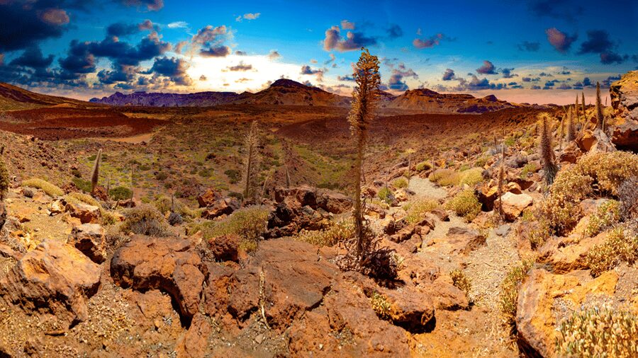Teide National Park: Landscapes and Viewpoints Private Tour - The 6-hour format, pickup timing, and how to plan your day