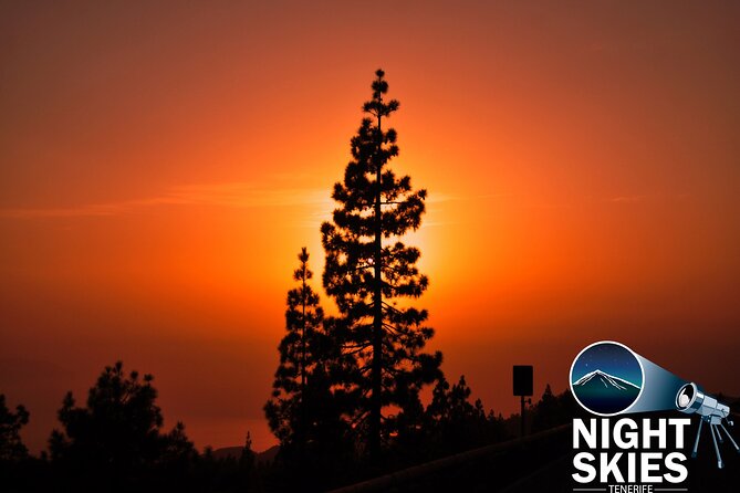 Teide National Park Sunset & Stargazing with Dinner (Star Safari) - How This Teide Sunset and Stargazing Star Safari Works