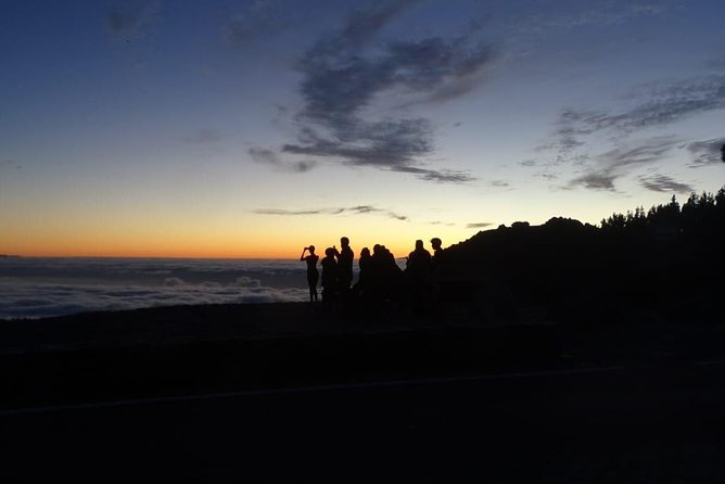 TEIDE NIGHT, Stargazing Bus Tour, Meal & Drinks included! - The Teide stargazing session: lasers, telescopes, and constellation stories