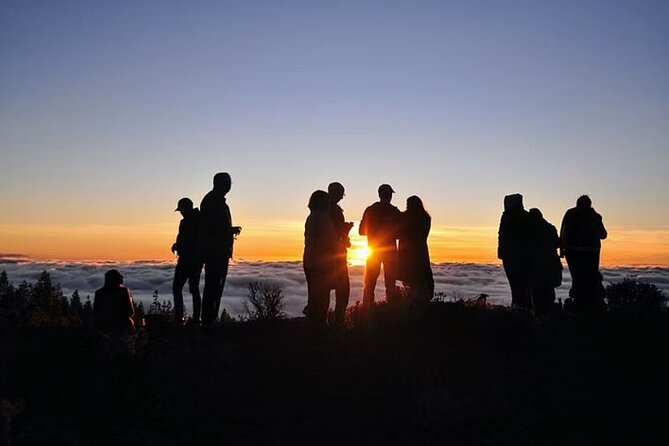TEIDE NIGHT, Stargazing Bus Tour, Meal & Drinks included! - What the star experience feels like in real life (cold, moon, and clouds)