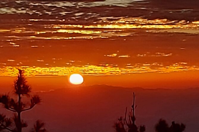 TEIDE NIGHT, Stargazing Bus Tour, Meal & Drinks included! - Price check: what $117.11 buys you in 6 hours