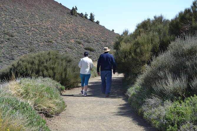 TEIDE: VIP tour - Minas de San Jose: pumice ground and that moon-like feeling