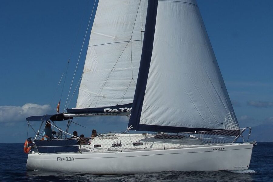Tenerife: 3 &-6 Hour Private Whale & Dolphin Watching - Who This Sail Is Best For (And Who Should Skip It)